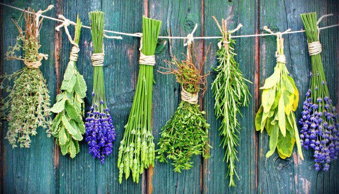 Smudging 101: Plants Used in Smudging